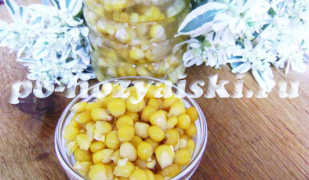 Консервированная кукуруза на зиму в банках