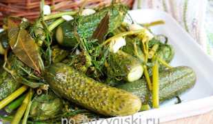 Как приготовить малосольные огурцы за сутки